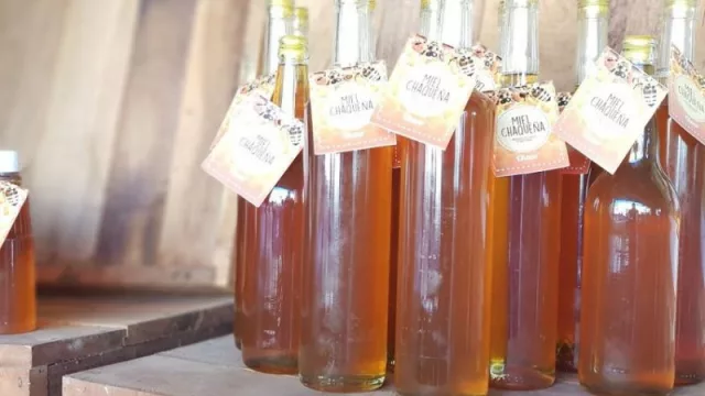 La miel chaqueña rumbo a Alemania (se exportaron más de 3 toneladas de miel tradicional)