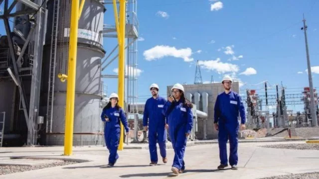 Pampa Energía adquiere la totalidad del bloque Rincón de Aranda en Neuquén