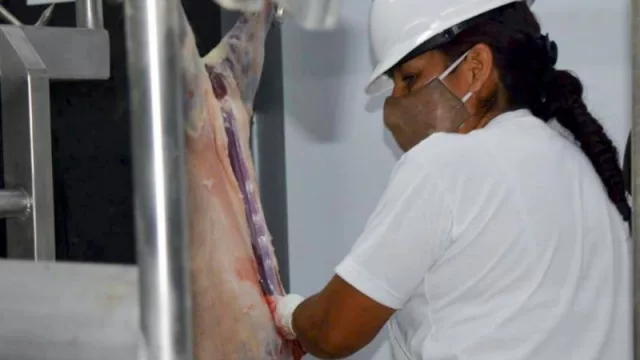 Aprueban proyecto y alianza productiva por $ 80 millones para el desarrollo de la cadena caprina