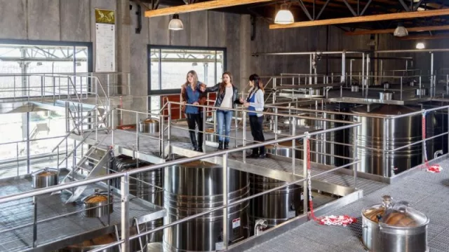 Bodegas neuquinas recibirán fondos para el desarrollo (Bodega Familia Schroeder, Malma, Viñedo Artesanal Puerta Oeste y Des De La Torre, las beneficiadas)