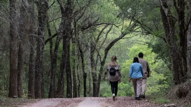 Descubrí el gran circuito de la Ruta Natural en Chaco (para disfrutar de día y de noche)