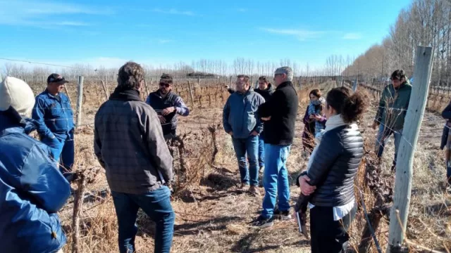 Choque de copas: bodegas neuquinas se reúnen en un trabajo conjunto para impulsar su competitividad