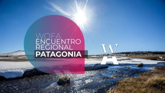 Wines of Argentina recorre el país (para seguir favoreciendo la promoción del vino argentino)
