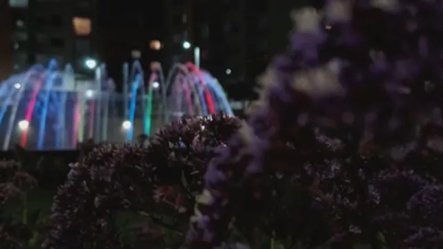 Sí, hacer cine con un celular es posible (Un director cuenta cómo lo hace con el edge 40)