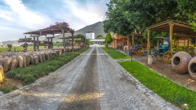 Hotel Viñas Queirolo, la joya del enoturismo donde podés disfrutar de experiencias de lujo en la región Ica en Perú