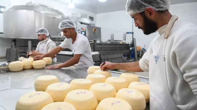 Quita de retenciones para lácteos: los 7 productos con techo en los precios