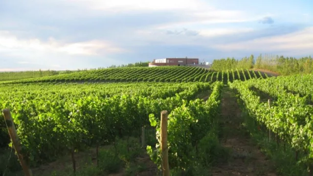 Secreto Patagónico: pioneros de la sustentabilidad en San Patricio del Chañar