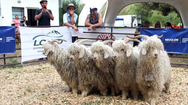 Campana Mahuida es una chacra provincial única en su tipo