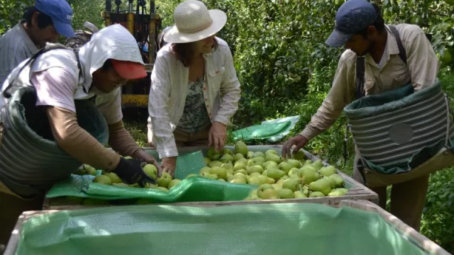 Día Nacional de la Producción Orgánica y Semana de los Productos Orgánicos: Neuquén destaca su compromiso con la sostenibilidad