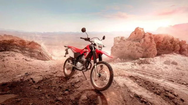 Honda Tornado XR250 y sus precios para febrero