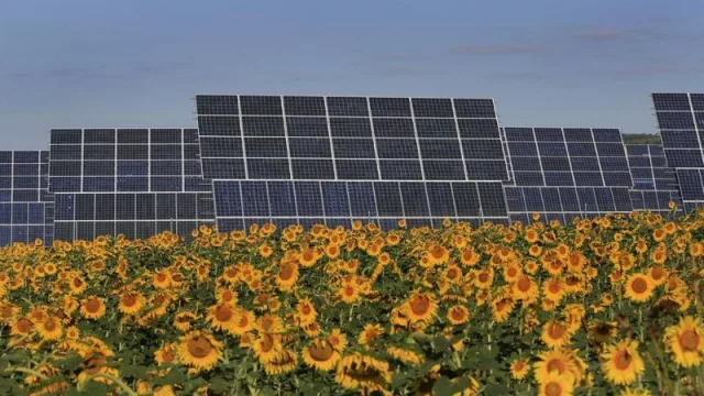 Los españoles se gastan el 8% de su salario en la energía de su hogar (¿es rentable instalar paneles solares en España?)