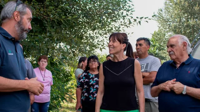 En la provincia, presentan el Plan Forestal y Manejo de los Bosques Implantados (para conservar los bosques existentes y los futuros)