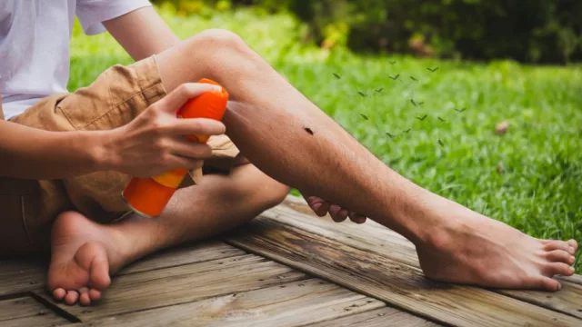 Sin repelentes, se duplicó la demanda de mosquiteros y hay hasta 15 días de demora para colocarlos