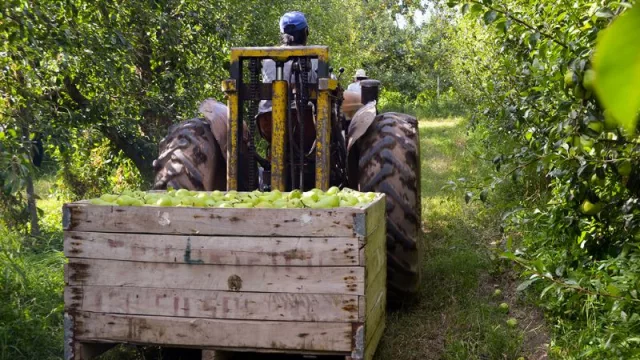 Inscripciones abiertas para la exención del impuesto inmobiliario en predios de producción agrícola