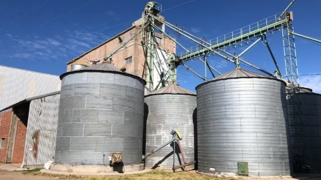 Bapan Argentina elabora harinas orgánicas certificadas y augura un gran futuro en el segmento