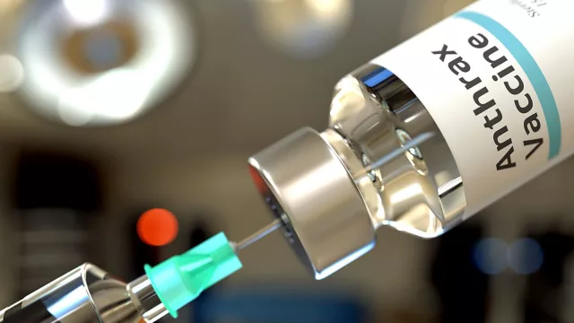 El Gobierno confirmó cómo será la implementación de la vacuna