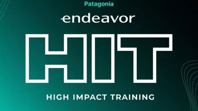 Empresas seleccionadas por Endeavor Patagonia para potenciar su crecimiento
