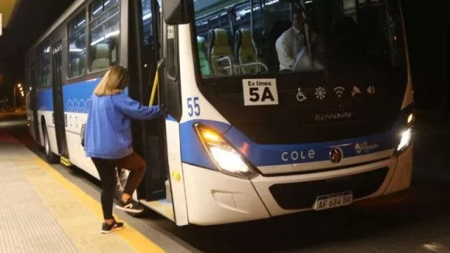 Crece la confianza de los usuarios en Cole (ya aumentaron 50% las transacciones diarias con el nuevo sistema)