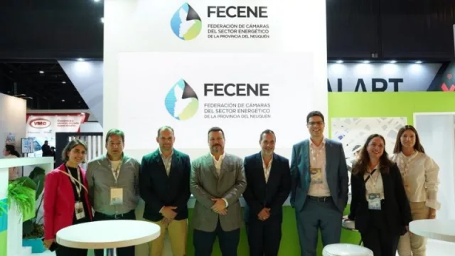 Fecene celebra la aprobación de la ley para la inclusión de empresas locales en el RIGI