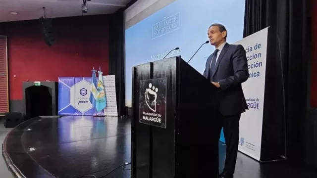 Raúl Rodríguez: “El RIGI es útil pero no específico para la minería”