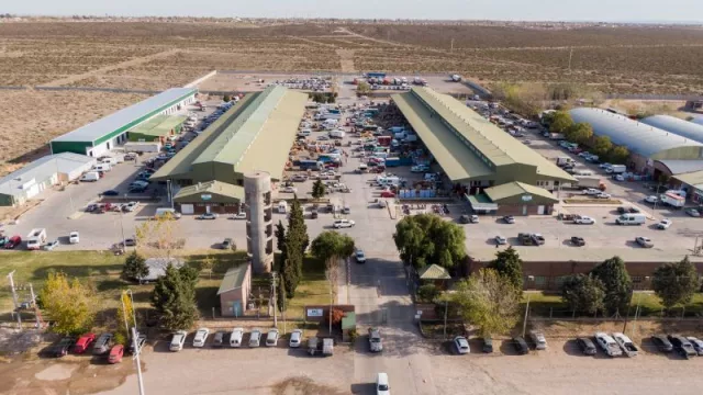 Un modelo diferente: el mercado de Neuquén se configura como un gran polo agroalimentario