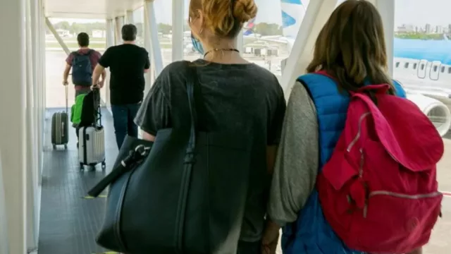 Todos los destinos para los que Aerolíneas Argentinas suma vuelos diarios durante la temporada alta