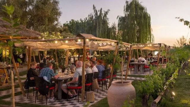 Bodega Kaiken fue galardonada en el Concurso Sommelier Wine Awards con la distinción “Productor del nuevo mundo del año”