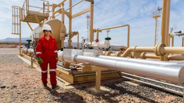 Promueven el liderazgo inclusivo en pymes neuquinas