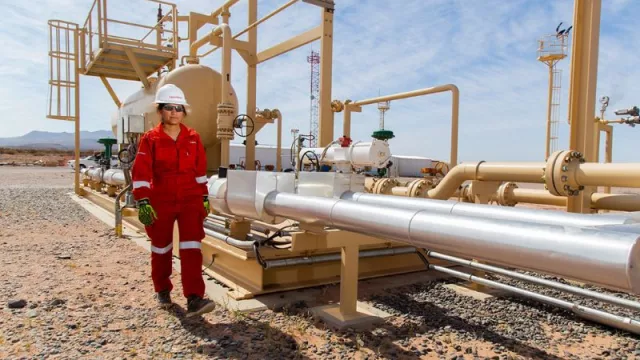 Promueven el liderazgo inclusivo en pymes neuquinas