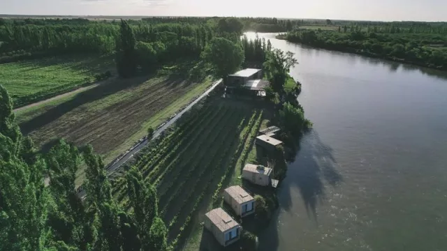 Trina Bodega: una experiencia enoturística completa en el Valle de Río Colorado