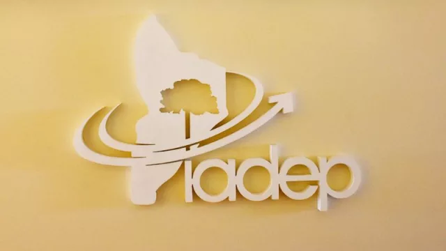 Jornadas de inducción financiera: oportunidad para emprendedores neuquinos