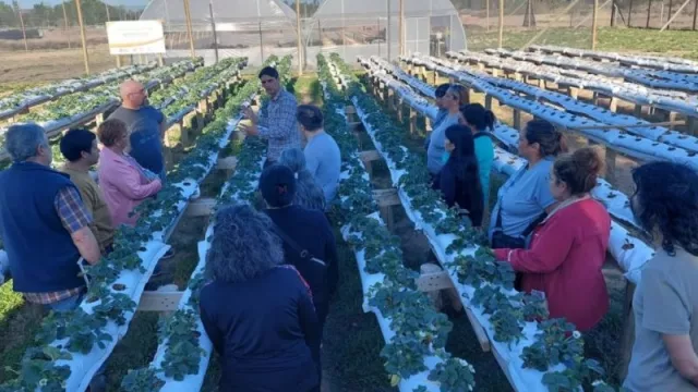 Incentivan emprendimientos desde la Chacra Experimental de Plaza Huincul