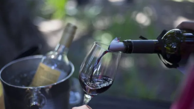 Wine Lovers Patagonia Edición Río: La 1ª Feria de Vinos en Cipolletti