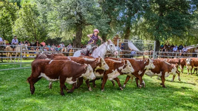La Expo Rural de Neuquén regresa a Junín de los Andes con una agenda repleta de actividades