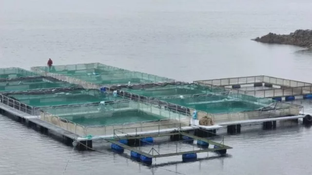 Neuquén, un polo estratégico para la acuicultura en Argentina