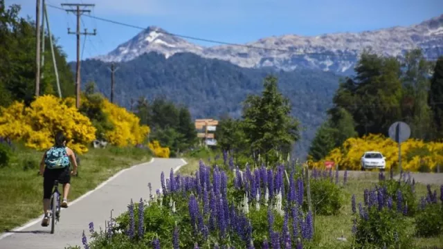 Balance preliminar de la primera quincena de enero en la región de los Lagos del Sur