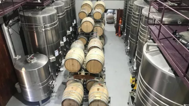 La Bodega Mabellini se incorpora a la oferta turística de Neuquén