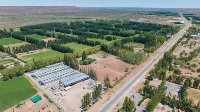 ZLT: inversión y desarrollo estratégico en Vaca Muerta