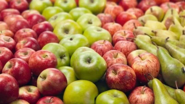 Créditos millonarios para productores frutícolas en Neuquén