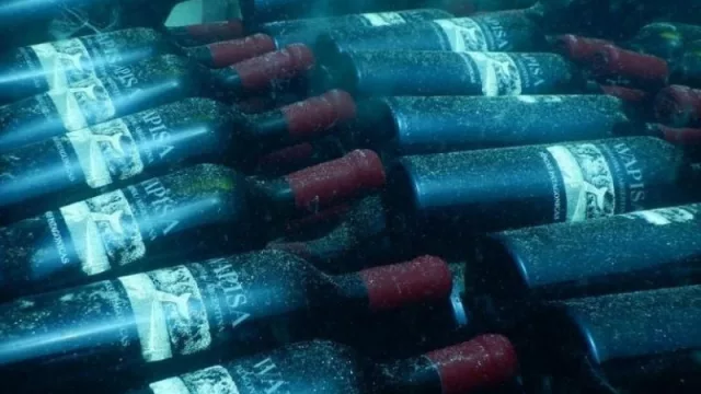 Los vinos del mar: Río Negro lanzó su innovador Programa de Cava Submarina (en el Golfo San Matías)