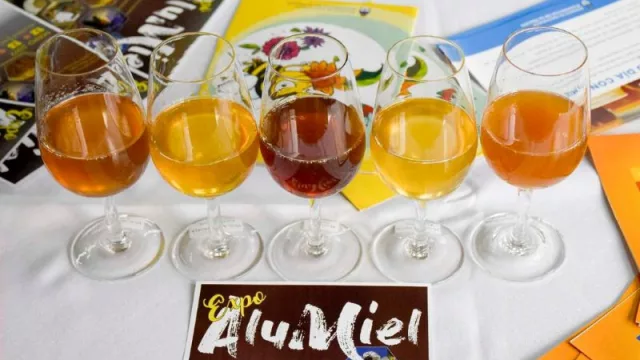 Aluminé se prepara para una nueva edición de la Expo Alumiel, el gran encuentro de la apicultura regional