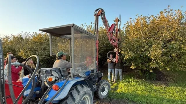 Río Negro apuesta al desarrollo de avellanas con inversión tecnológica y proyección internacional