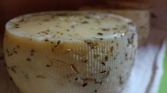 Desde Vaca Muerta a la capital del queso: una productora neuquina dirá presente en TodoLáctea 2025