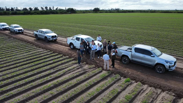 La innovación en fertirriego impulsa la rentabilidad agrícola en Colonia El Simbolar