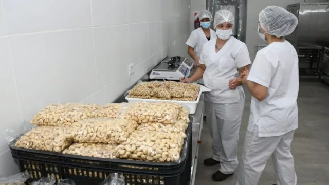 Cuarenta emprendedores neuquinos ya producen en la nueva Sala de Elaboración de Toma Norte