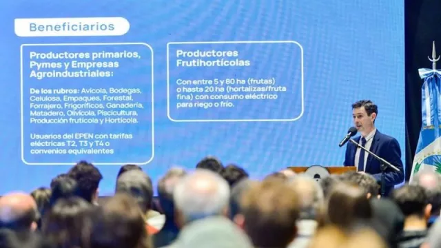 Neuquén refuerza su estrategia de desarrollo económico con programas de eficiencia energética y financiamiento al sector frutícola