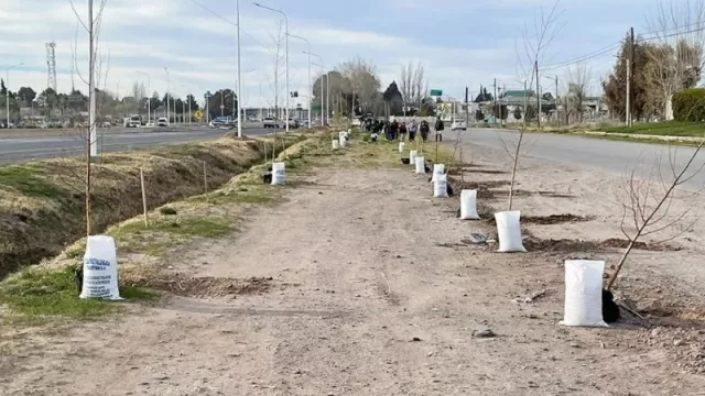 Impulsan la sostenibilidad con forestación en el Parque Industrial de Neuquén