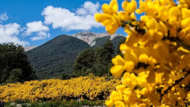 Villa La Angostura se reinventa en temporada baja: la primavera como gran atractivo