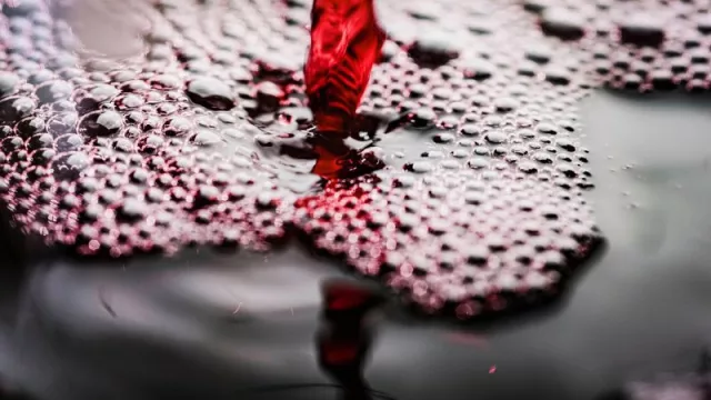 Vinos de Historia: una experiencia de maridaje con Salentein en Cipolletti