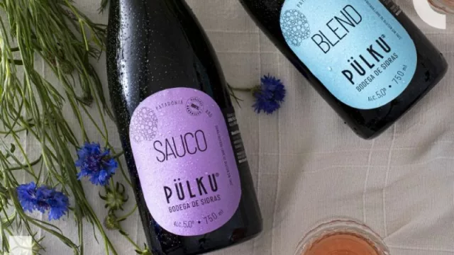 Sidra y Vaca Muerta, pasiones de una empresaria que busca agregar valor